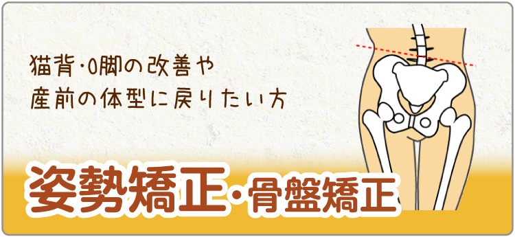 姿勢矯正・骨盤矯正
